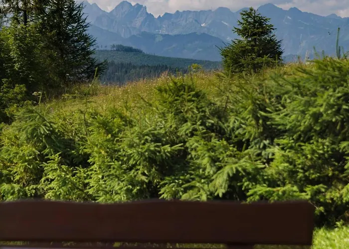 Gory I Doliny * Lapszanka